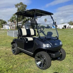 2025 Evolution Turfman 200 for Sale | Electric Utility Cart with Cargo Box