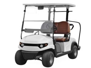 2 Seater Golf Carts for Sale