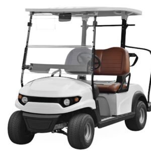 2 Seater Golf Carts for Sale