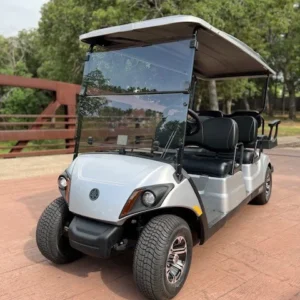 2022 Yamaha Concierge 6 Passenger Non-Lifted Silver