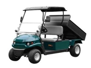 Golf Carts with Cargo Box