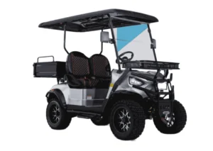 Kandi Kruiser 2P Multi-purpose