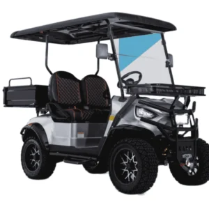 Kandi Kruiser 2P Multi-purpose