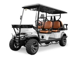 Lithium Golf Cart for Sale